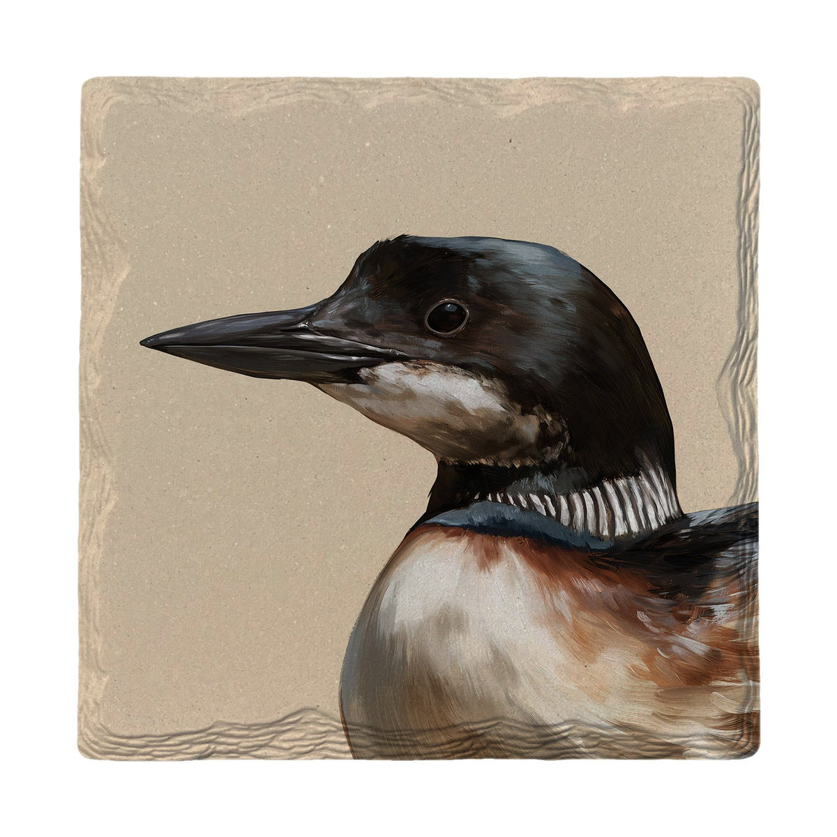 Common Loon Portrait | Absorbent Ceramic Drink Coaster