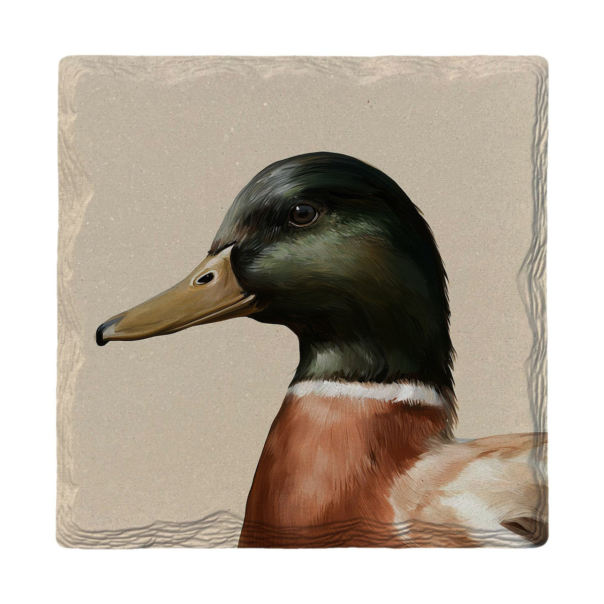 Mallard Drake Portrait | Absorbent Ceramic Drink Coaster