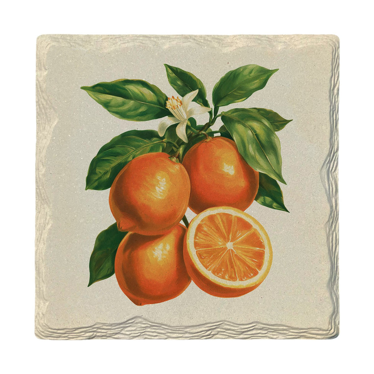 Vintage Orange Branch | Absorbent Ceramic Drink Coaster