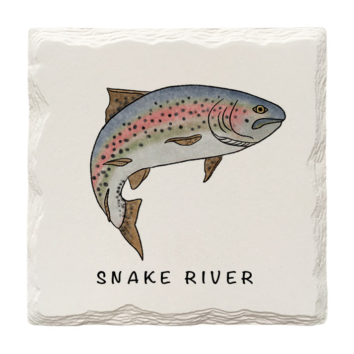 Customizable Rainbow Trout Doodle | Drink Coaster