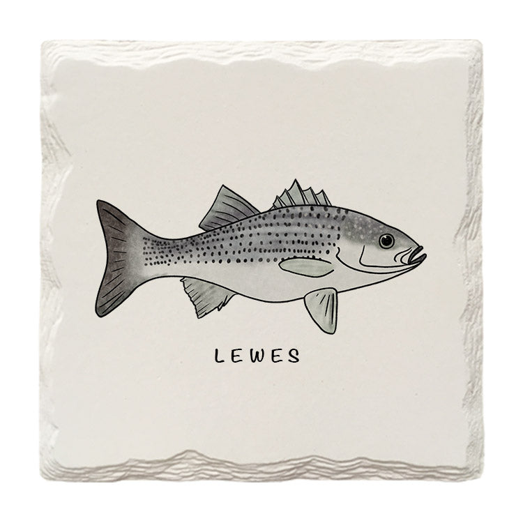 Customizable Striped Bass Doodle | Drink Coaster