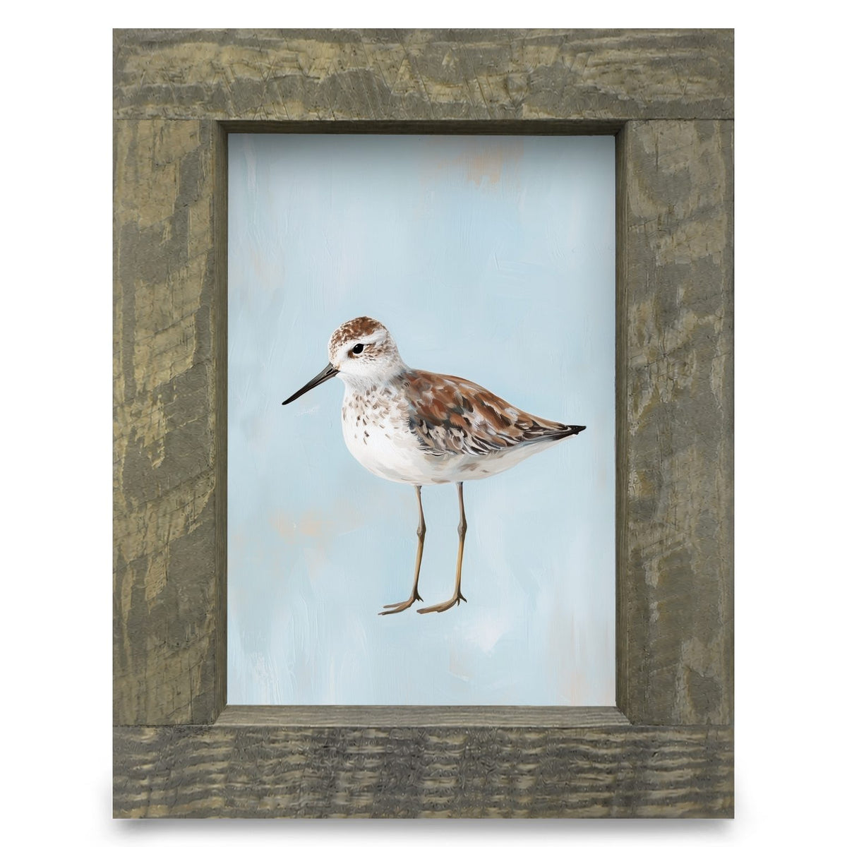 Blue Sandpiper | Real Wood Framed Wall Art Print