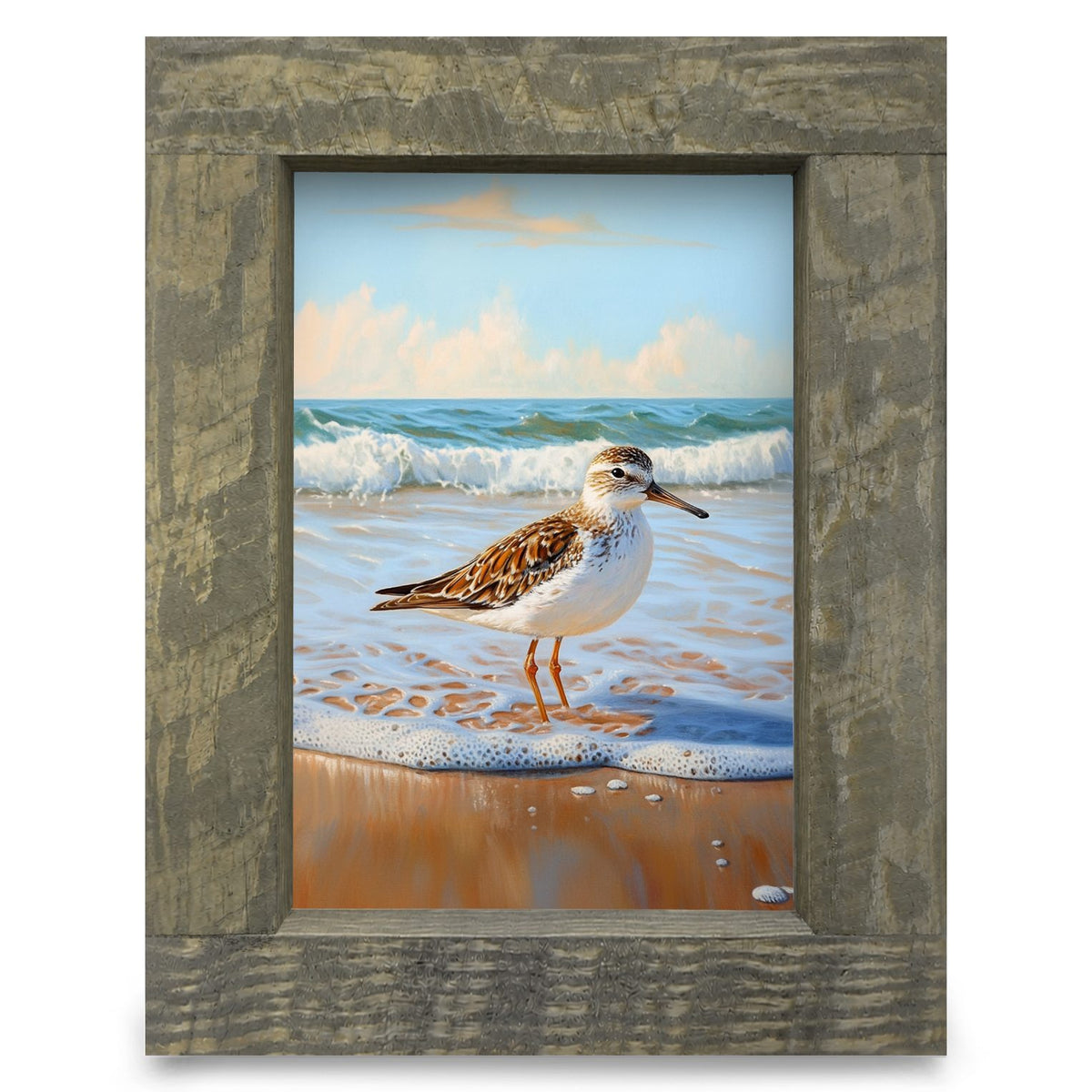 Beautiful Sandpiper | Real Wood Framed Wall Art Print