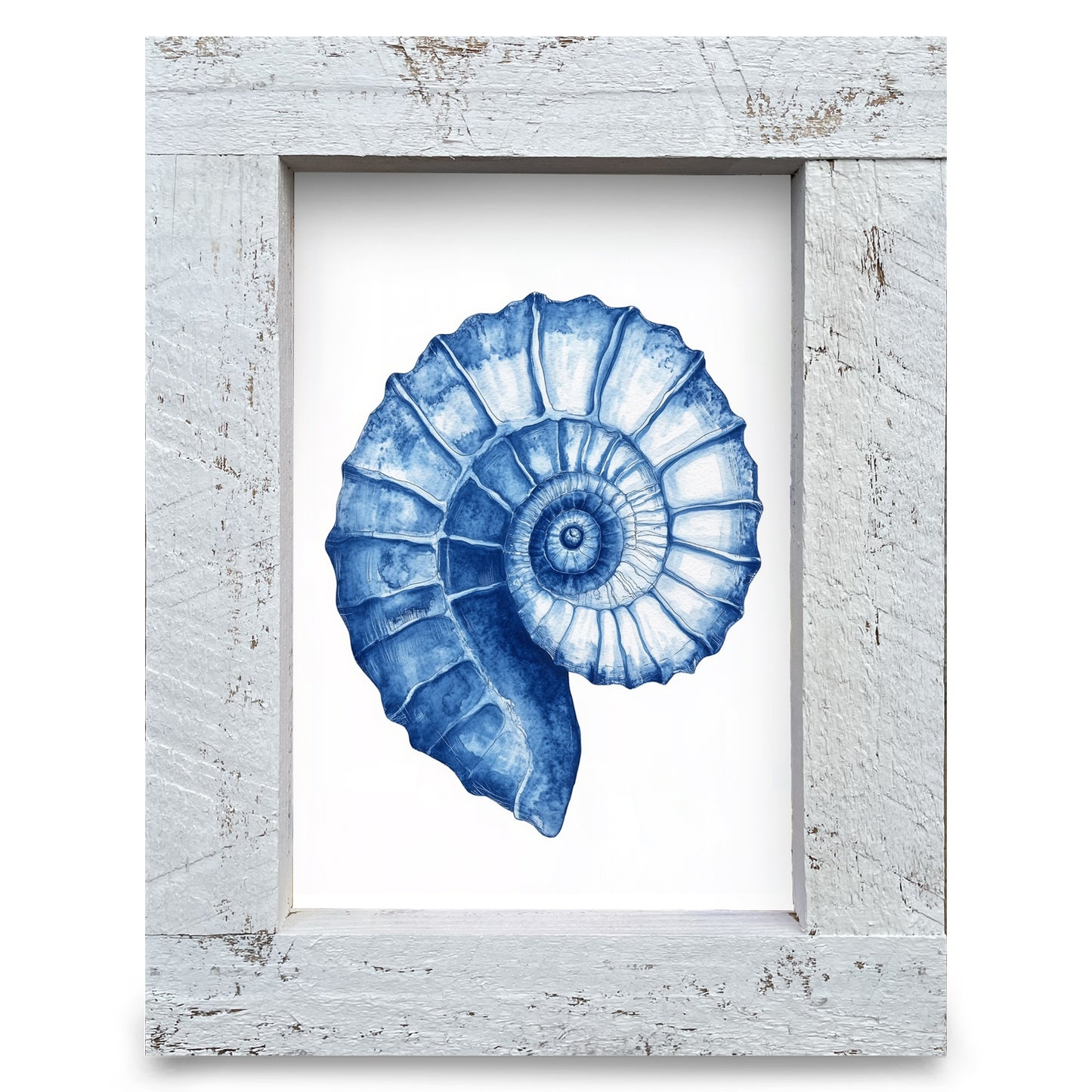Watercolor Navy Mollusk Shell | Real Wood Framed Wall Art Print
