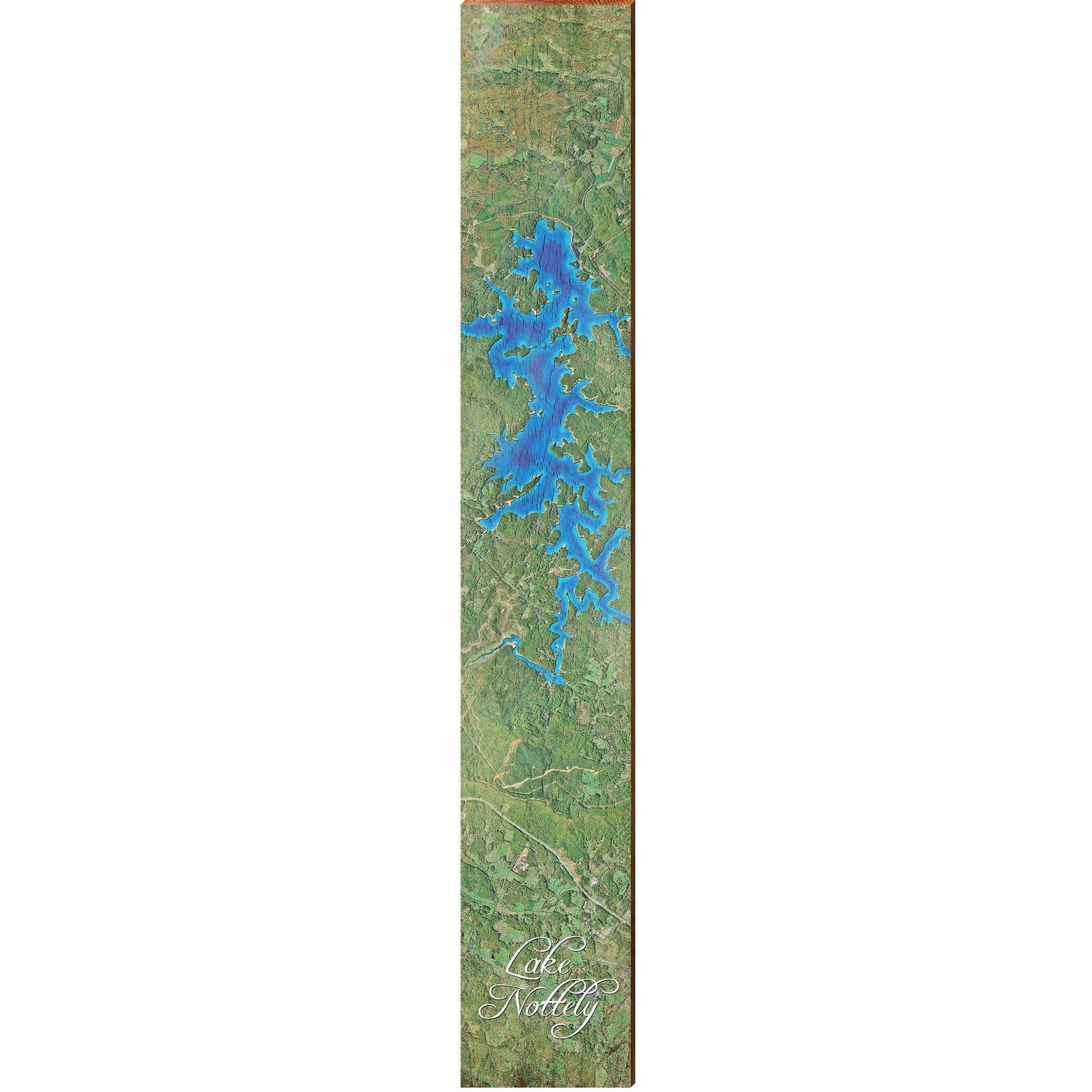 Lake Nottely, Georgia Satellite Styled Map Large Wall Art