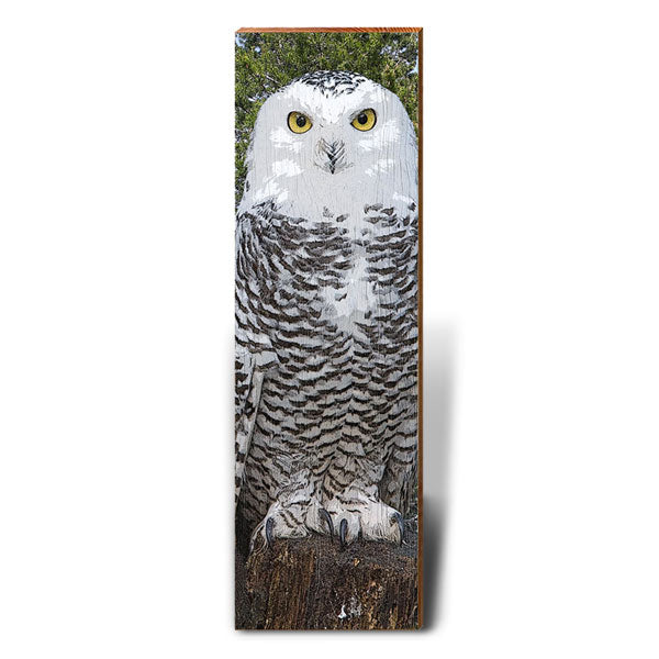 Horned Owl | Wall Art Print on Real Wood