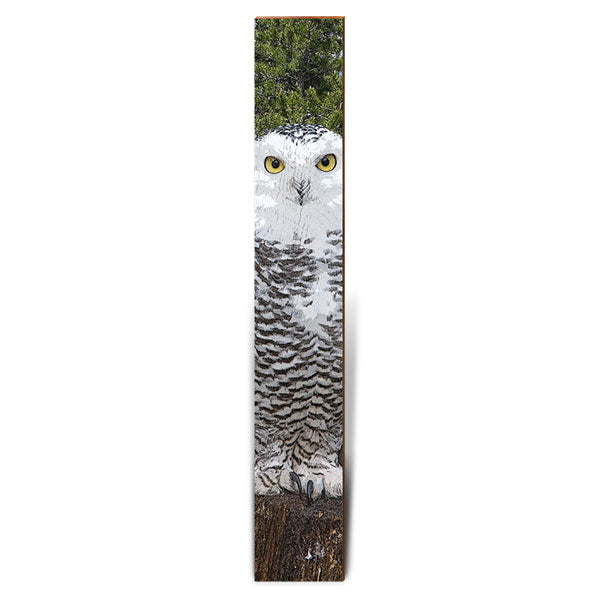 Horned Owl Large | Wall Art Print on Real Wood