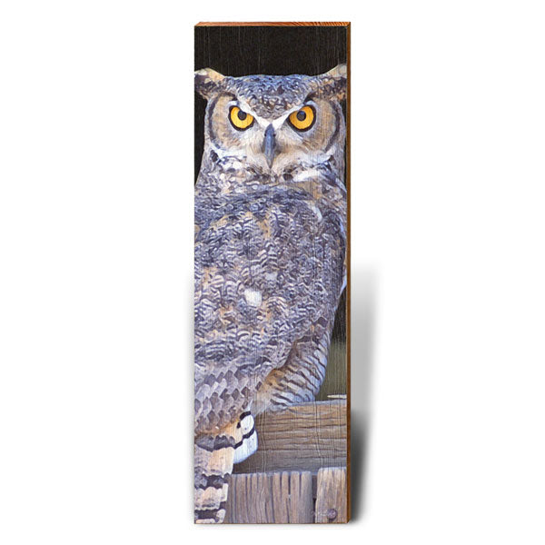 Horned Owl Staredown | Wall Art Print on Real Wood