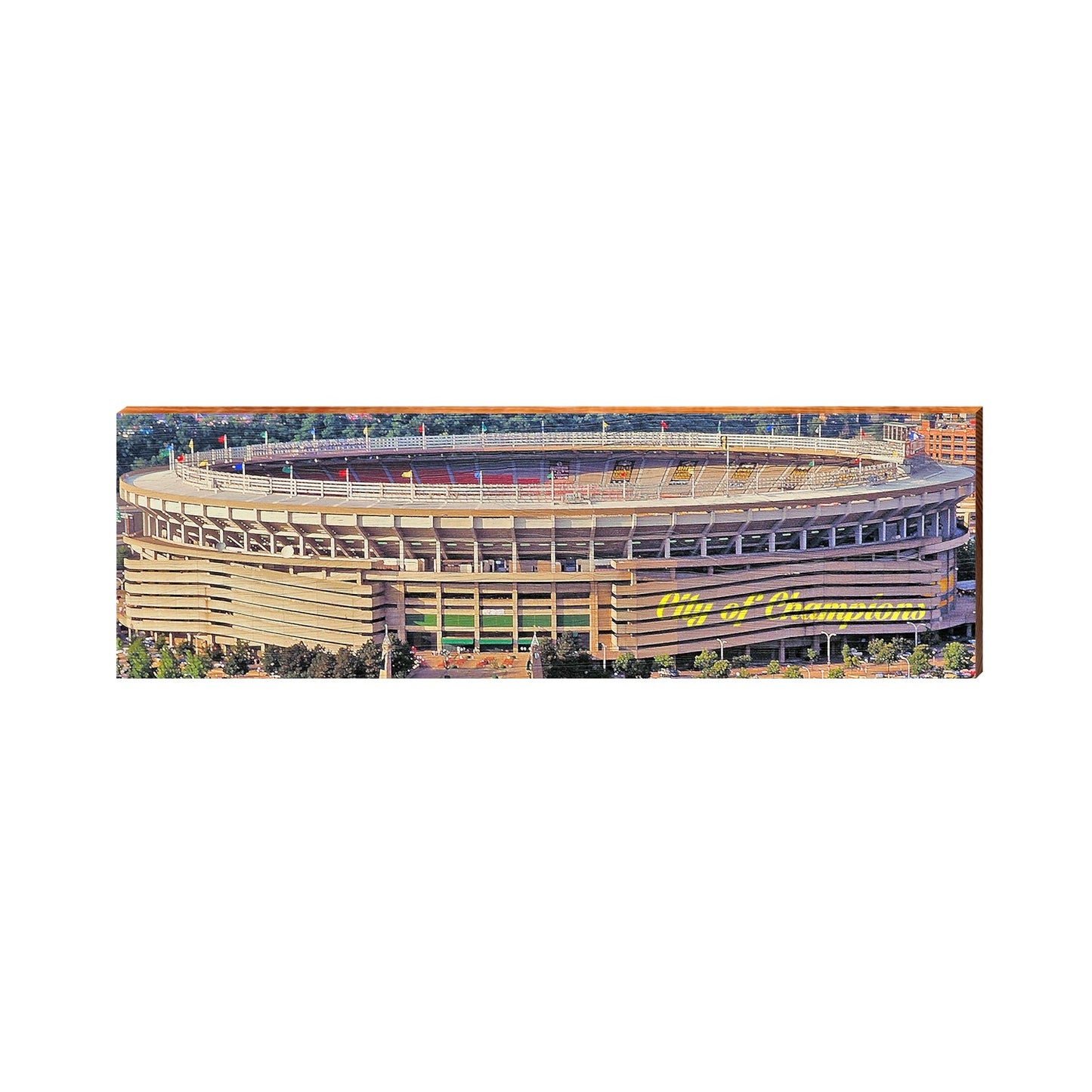 Three Rivers Stadium | City of Champions | Pittsburgh | Wall Art Print on Real Wood