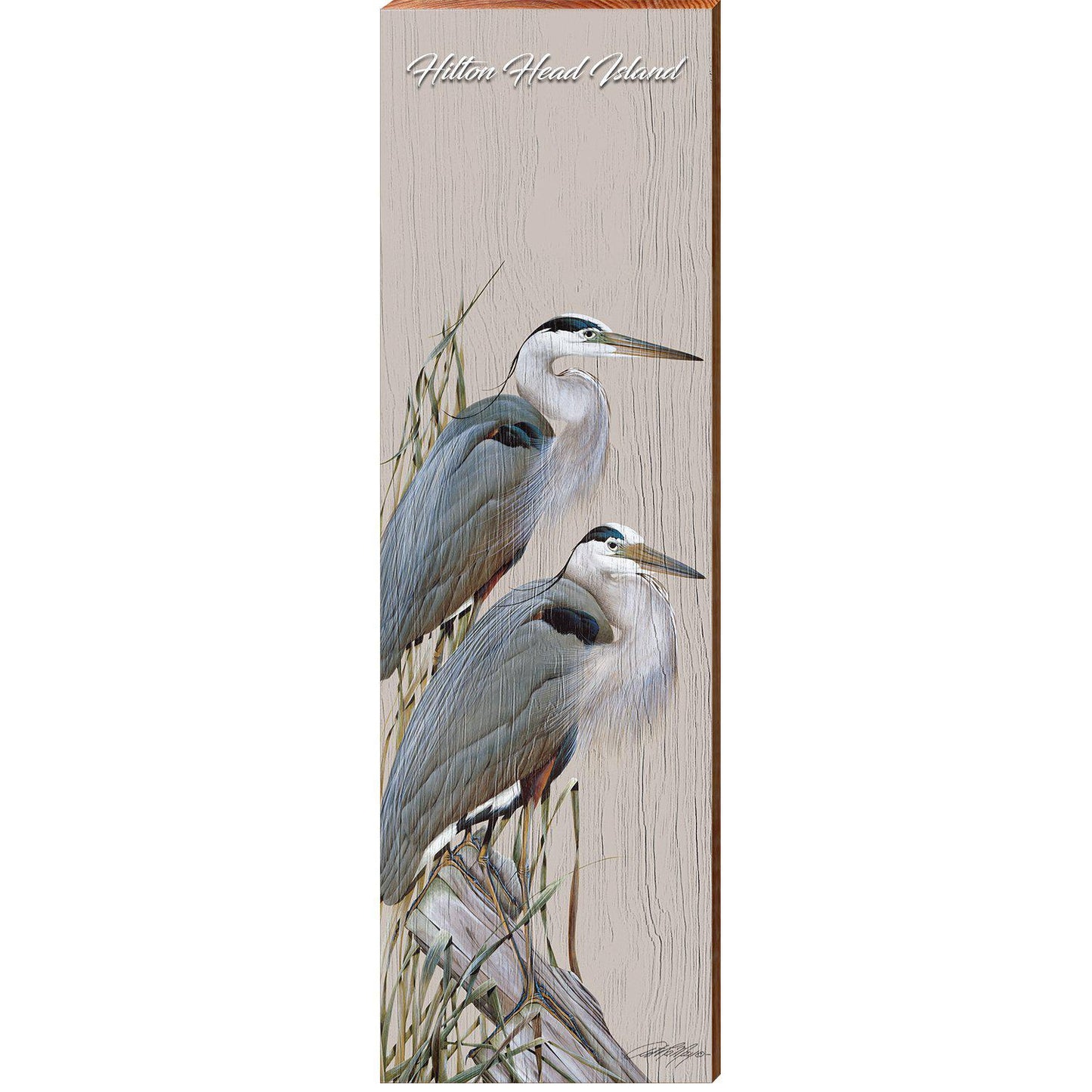 Hilton Head Island Art Lamay's Blue Herons | Wall Art Print on Real Wood