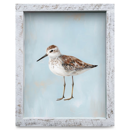 Blue Sandpiper | Real Wood Framed Wall Art Print