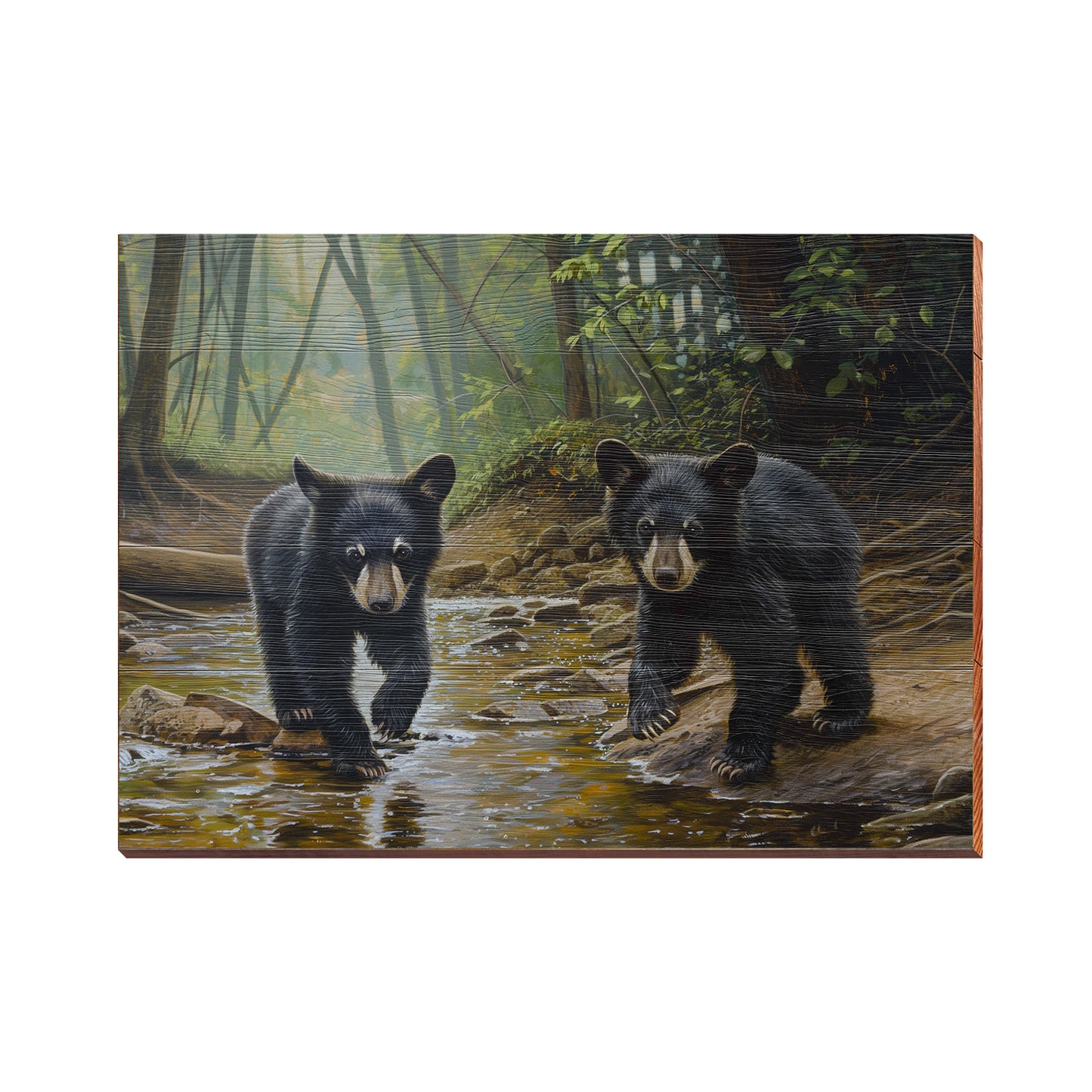 Black Bear Cubs at Play | Wall Art Print on Real Wood