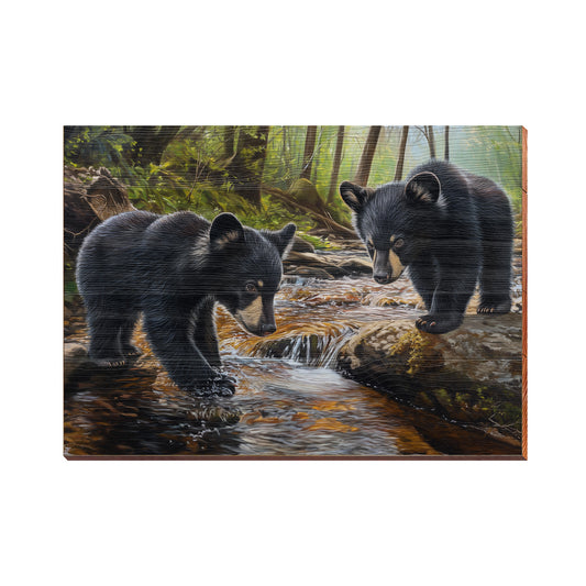 Black Bear Brook | Wall Art Print on Real Wood