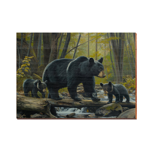 Black Bear Family | Wall Art Print on Real Wood