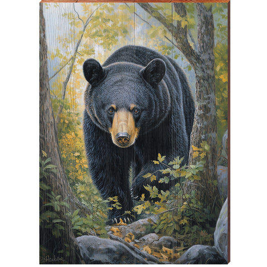 Big Momma Black Bear Portrait | Wall Art Print on Real Wood