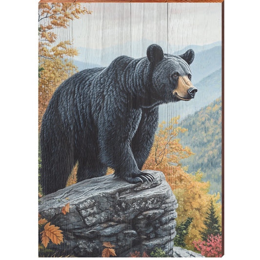 Big Guy Black Bear Portrait | Wall Art Print on Real Wood