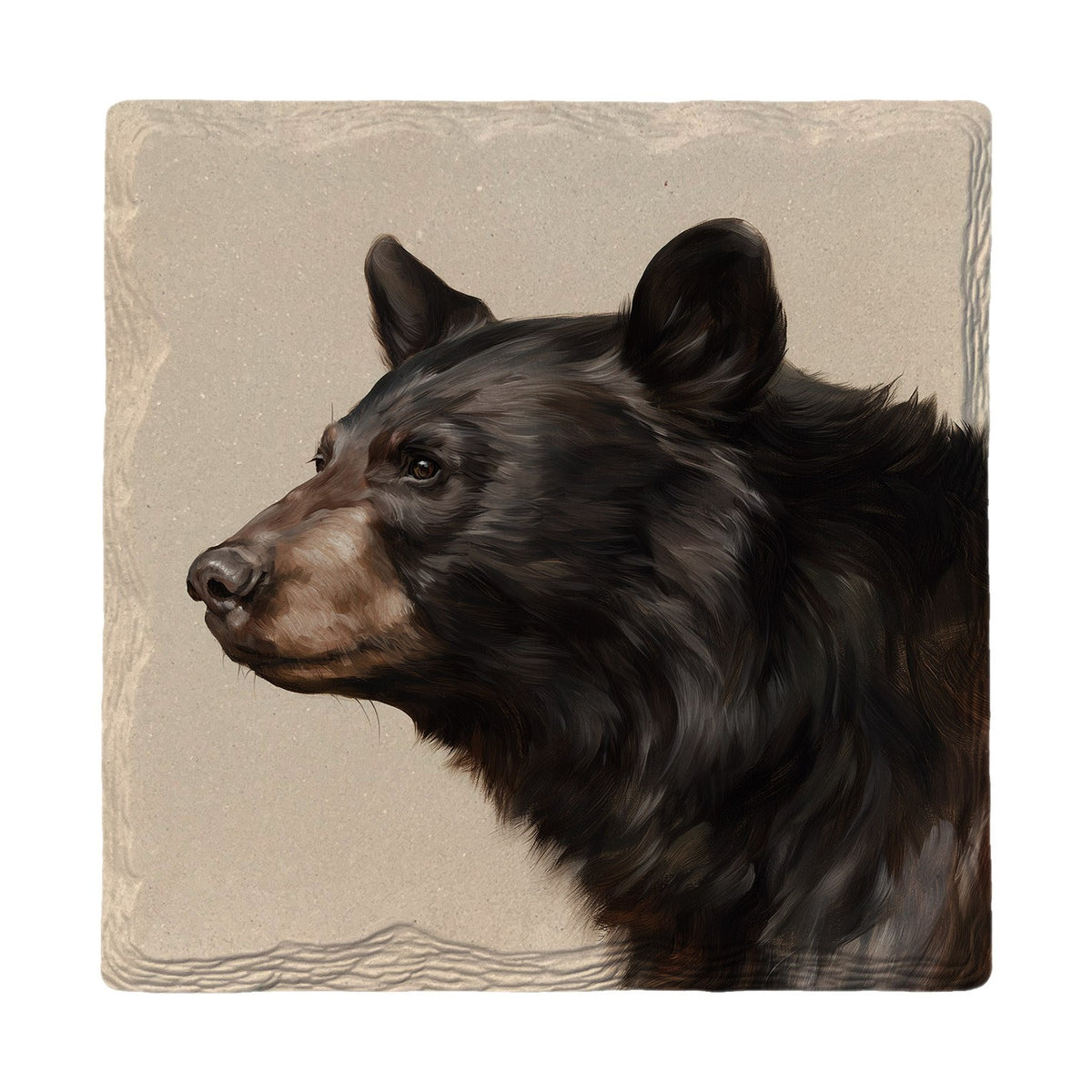 Black Bear Portrait | Absorbent Ceramic Drink Coaster