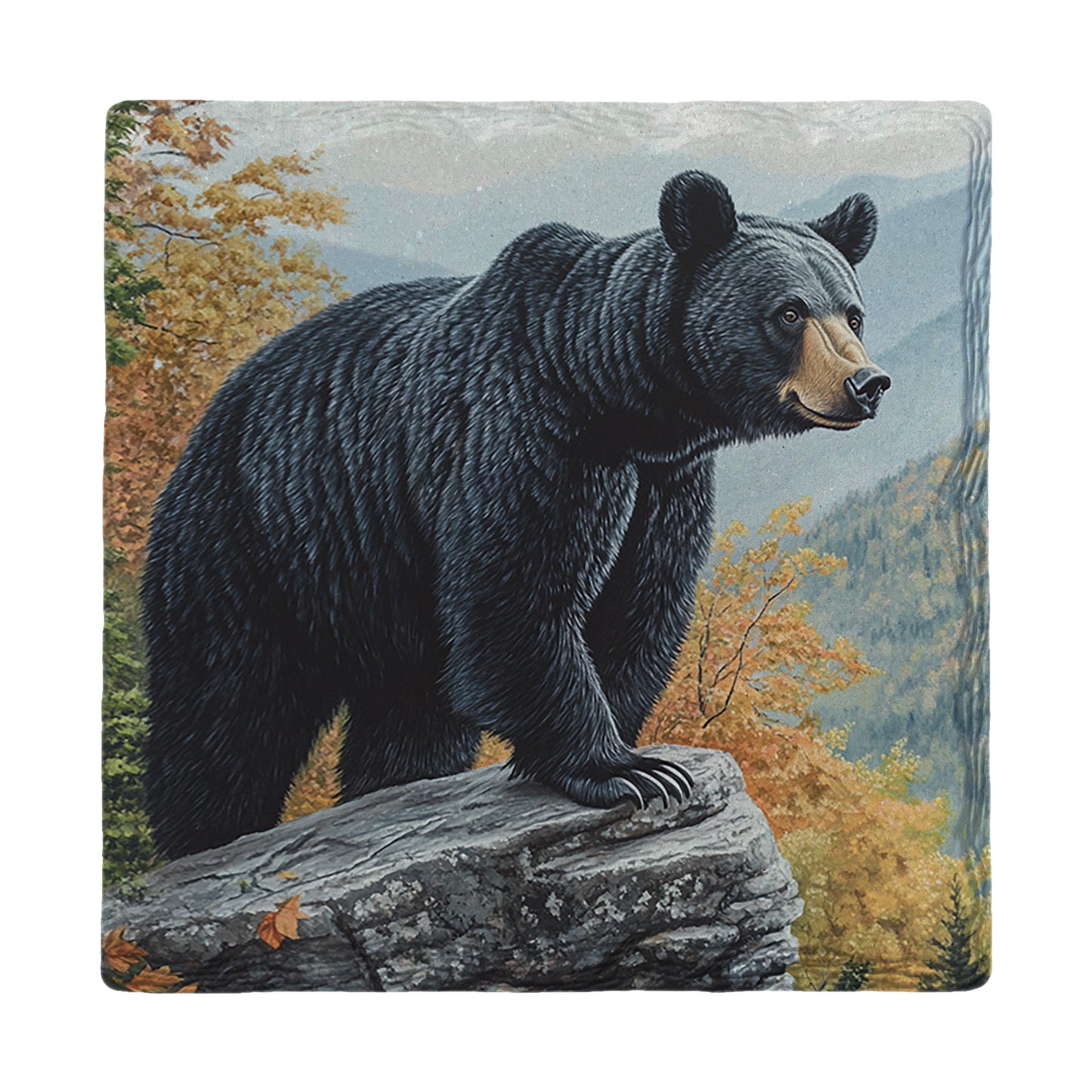 Big Guy Black Bear | Drink Coaster