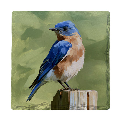 Perched Bluebird absorbent ceramic drink coaster