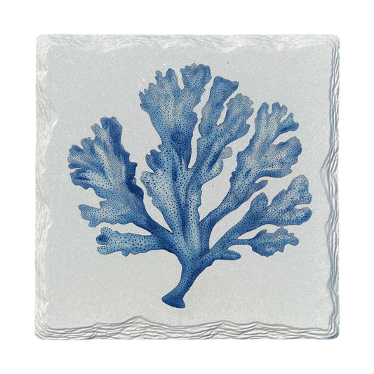 Blue Sea Coral | Ceramic Drink Coaster