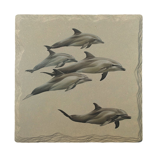 Sleek Dolphin Pod | Ceramic Drink Coaster