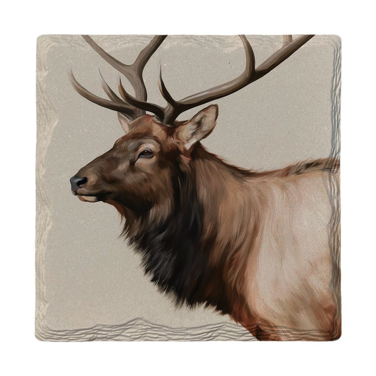 Bull Elk Portrait | Absorbent Ceramic Drink Coaster