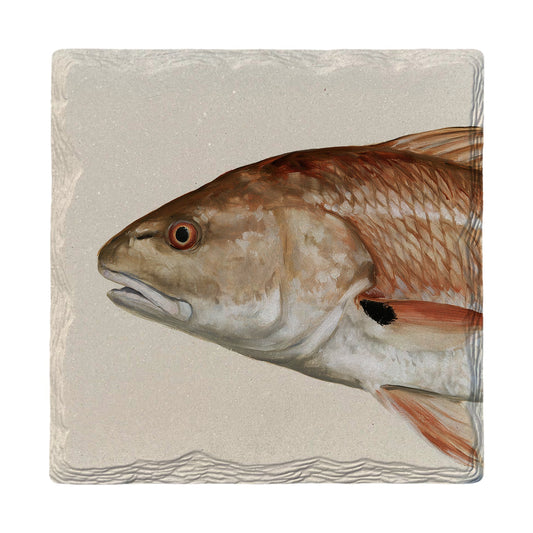 Redfish Portrait | Absorbent Ceramic Drink Coaster
