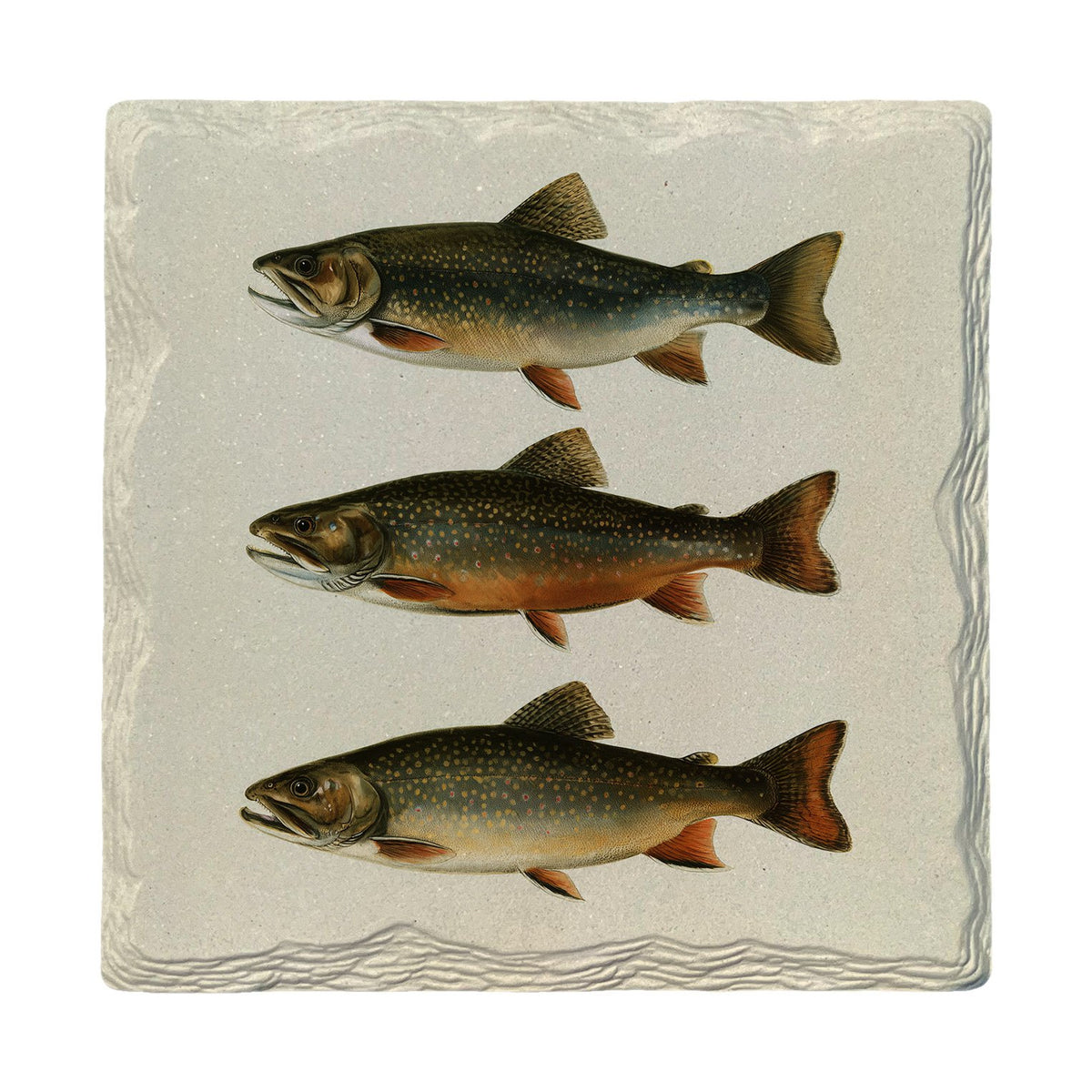 Brook Trout Trio | Absorbent Ceramic Drink Coaster