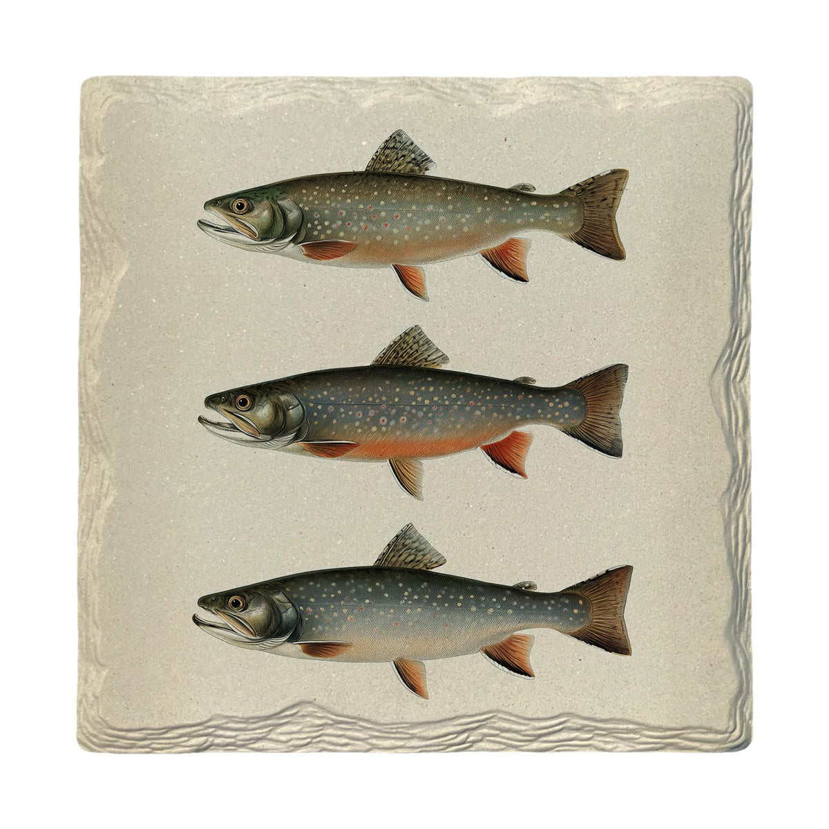 Rainbow Trout Trio | Absorbent Ceramic Drink Coaster