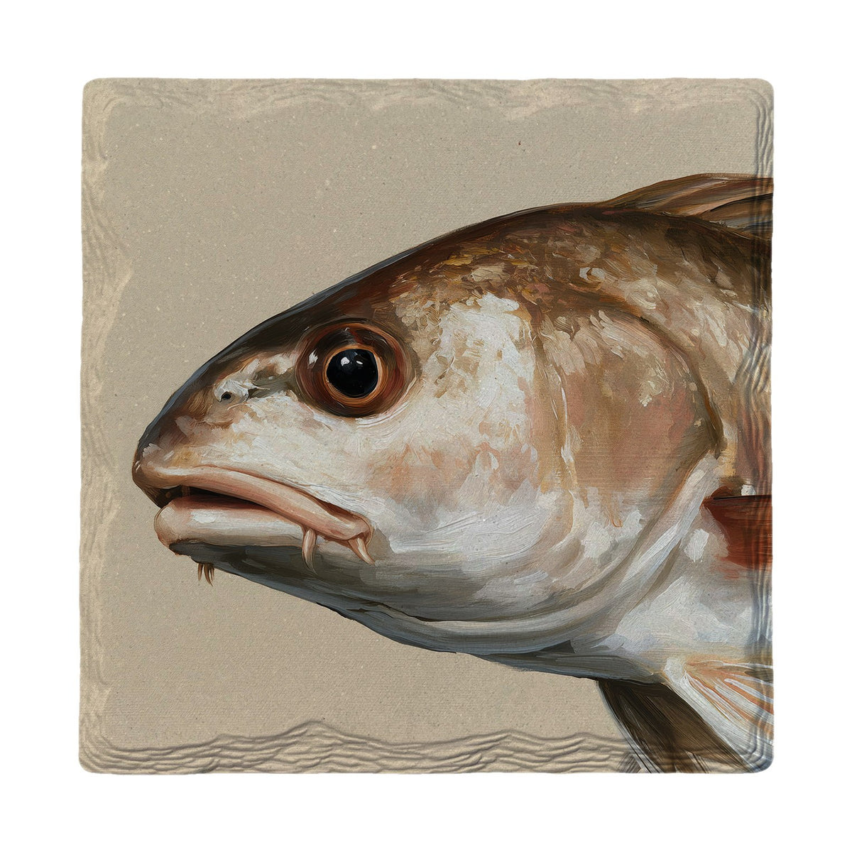 Drum Fish Portrait | Absorbent Ceramic Drink Coaster