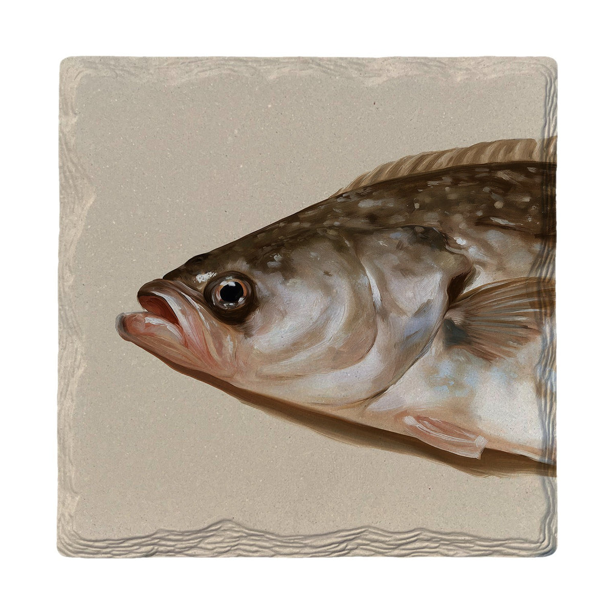 Sea Bass Portrait | Absorbent Ceramic Drink Coaster