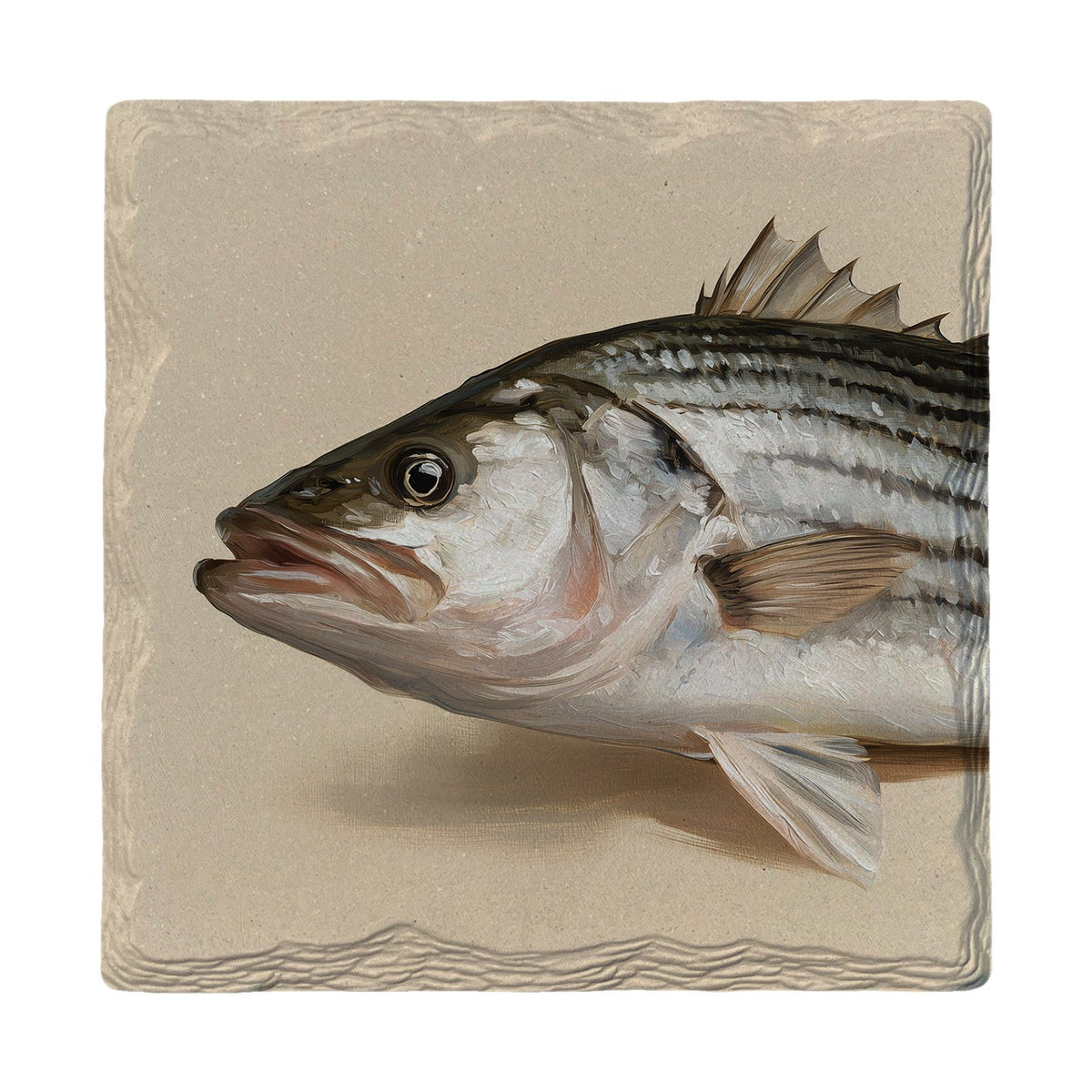Striped Bass Portrait | Absorbent Ceramic Drink Coaster