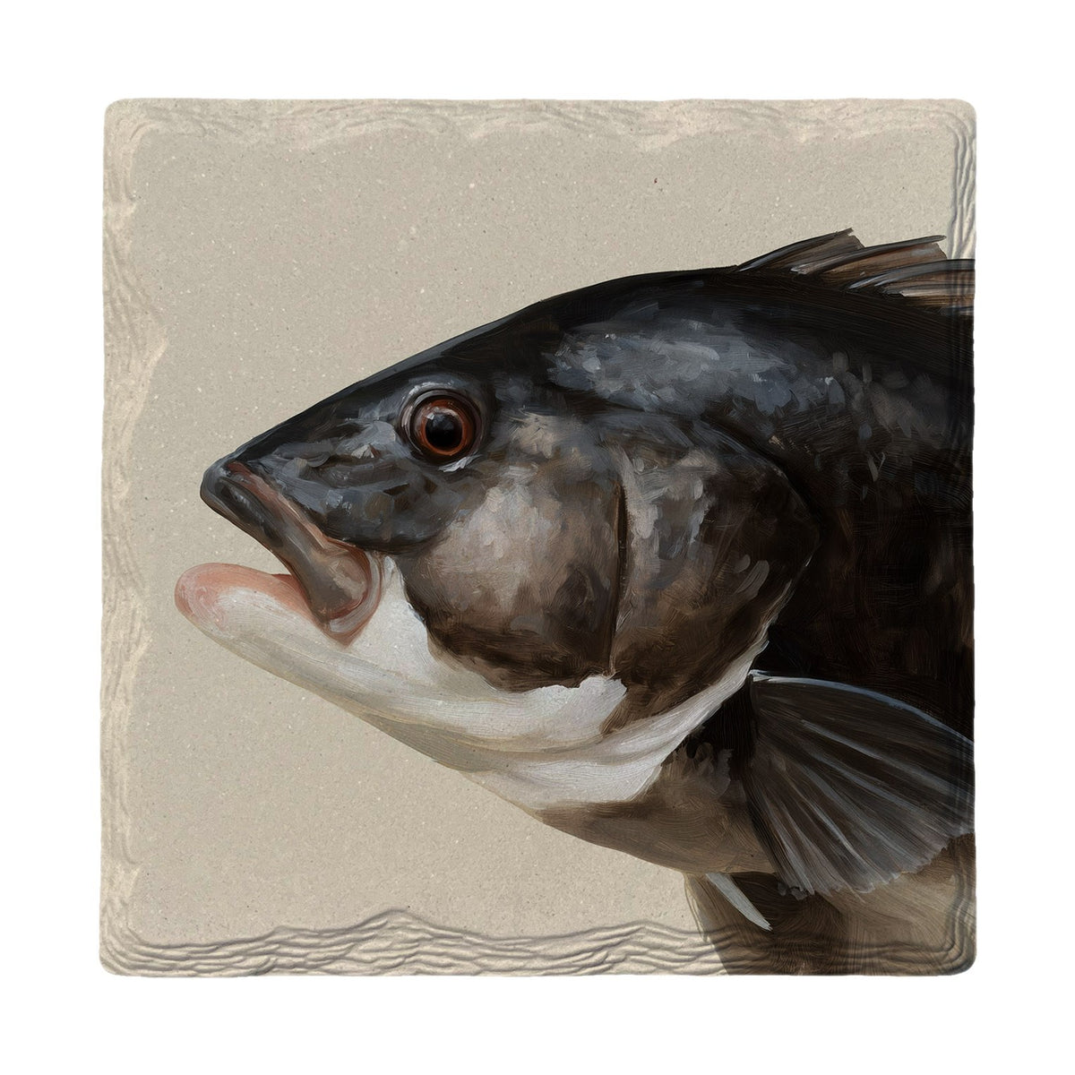 Tautog Portrait | Absorbent Ceramic Drink Coaster