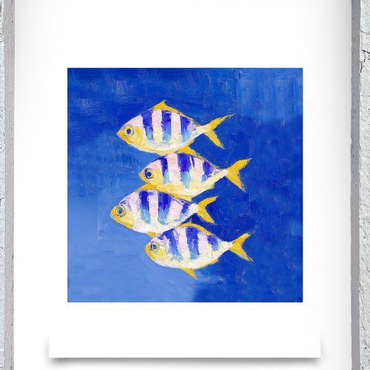 Sergeant Major Fish | Ceramic Drink Coaster