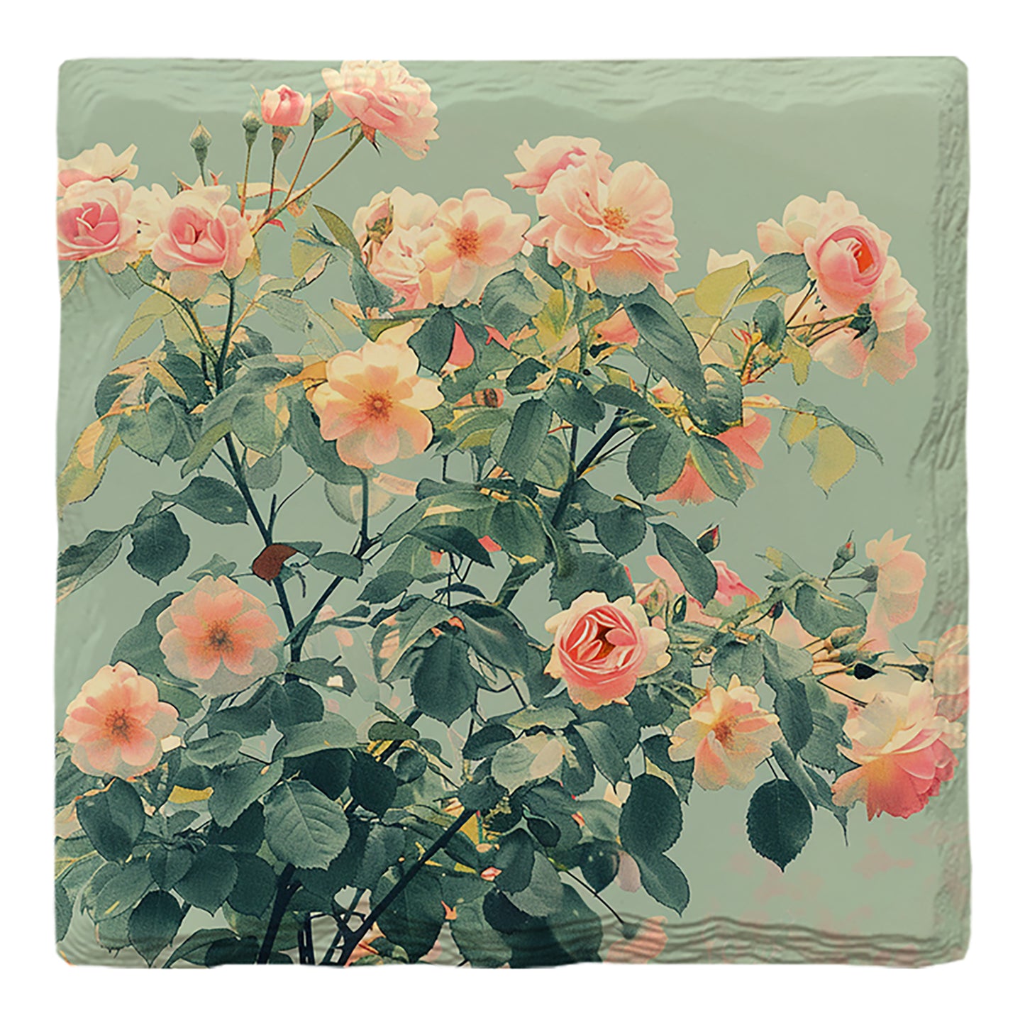 Classy Rose Bush | Drink Coaster