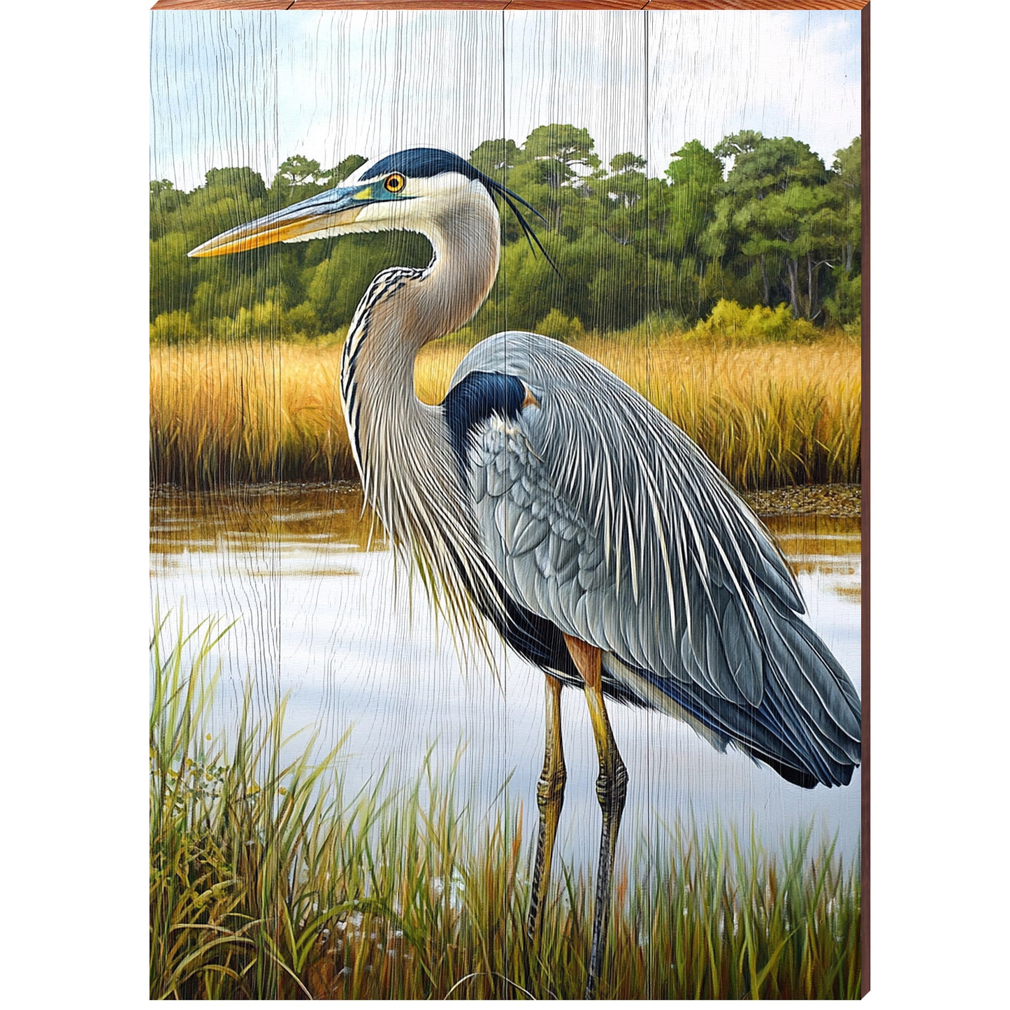 Coastal Marsh Heron Portrait | Wall Art Print on Real Wood