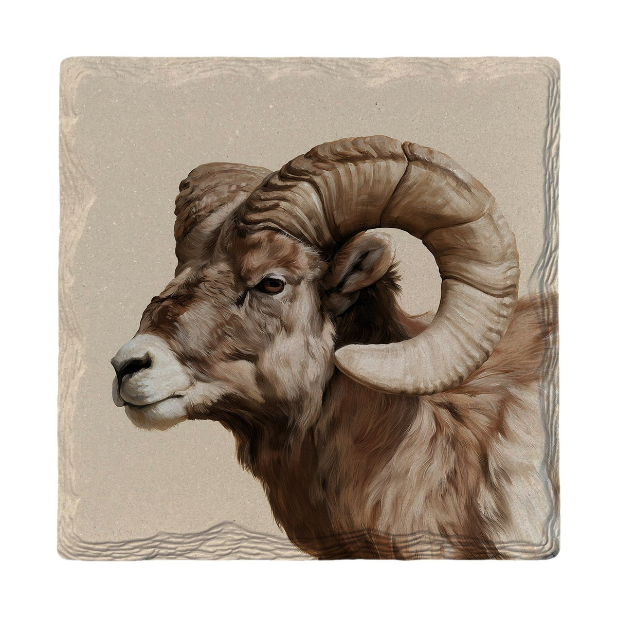 Bighorn Ram Portrait | Absorbent Ceramic Drink Coaster