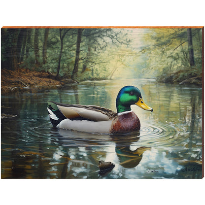 Mallard Afloat Portrait | Wall Art Print on Real Wood