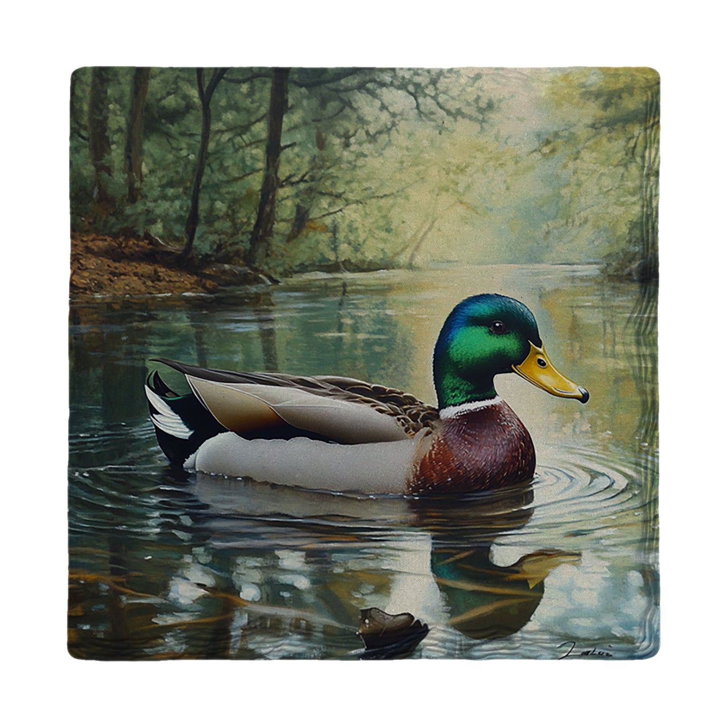 Mallard Afloat | Drink Coaster