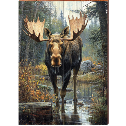 Creekside Moose Portrait | Wall Art Print on Real Wood