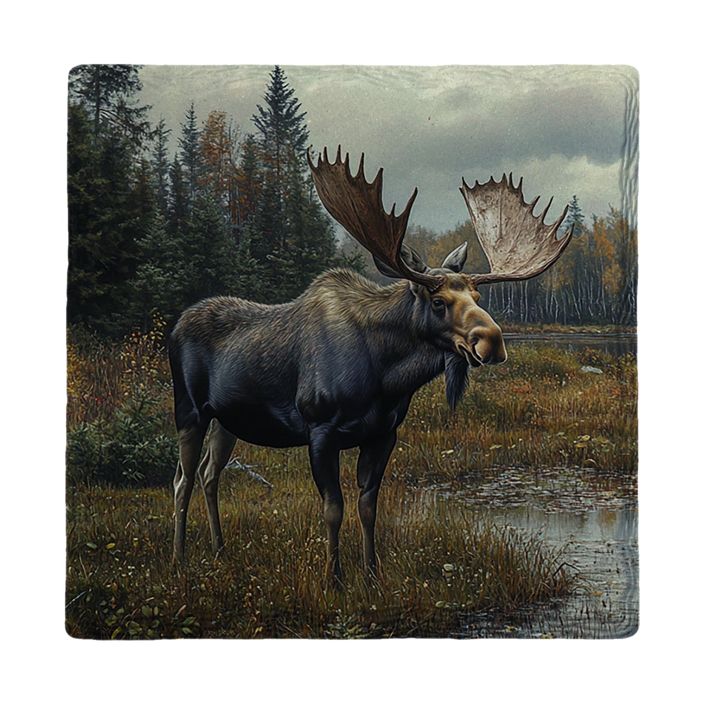 Northwoods Moose | Drink Coaster