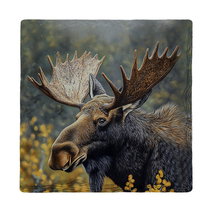 Close Up Moose | Drink Coaster