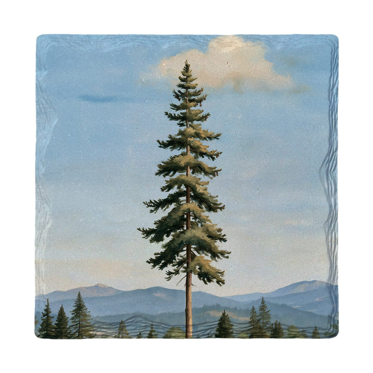 Lone Pine on the Ridge | Absorbent Ceramic Drink Coaster