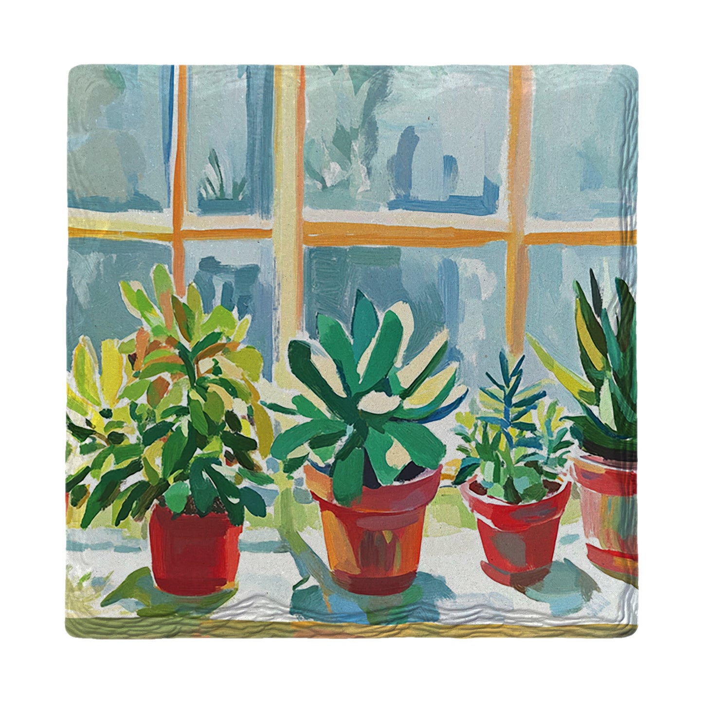 Succulent Window Nook | Drink Coaster