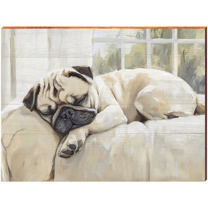 Beautiful Sleepy Angel Pug from Heaven Portrait | Wall Art Print on Real Wood