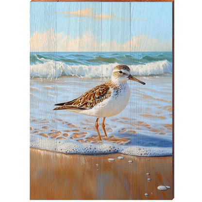 Beautiful Sandpiper Portrait | Wall Art Print on Real Wood