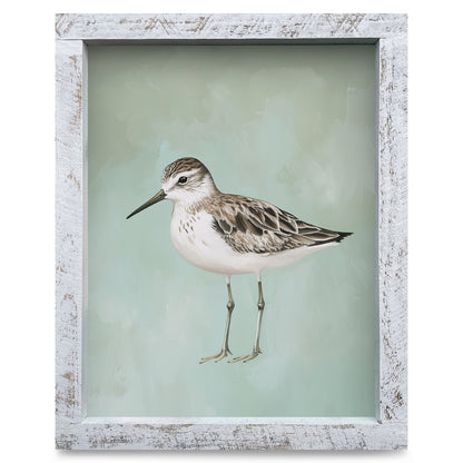 Green Sandpiper | Real Wood Framed Wall Art Print