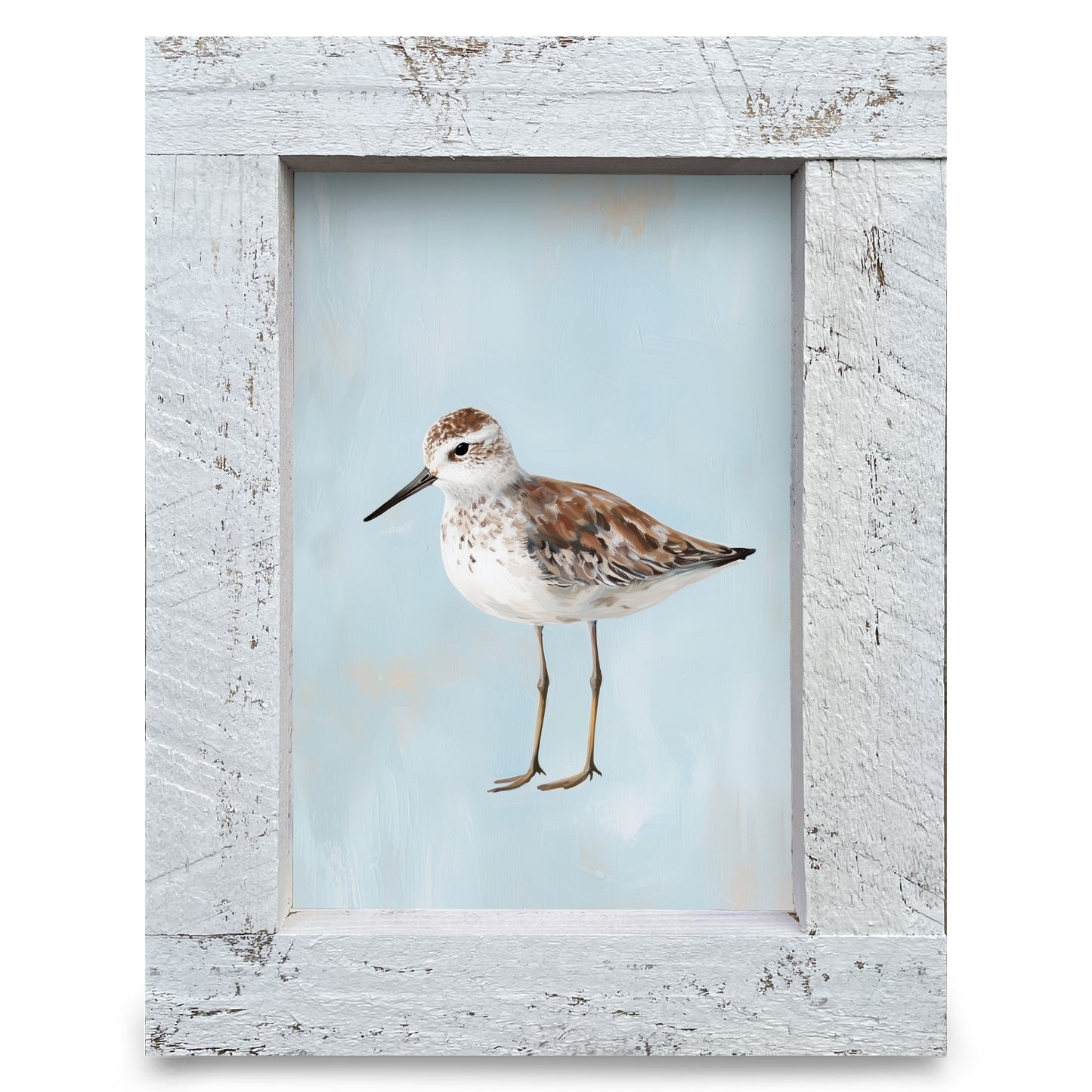 Blue Sandpiper | Real Wood Framed Wall Art Print