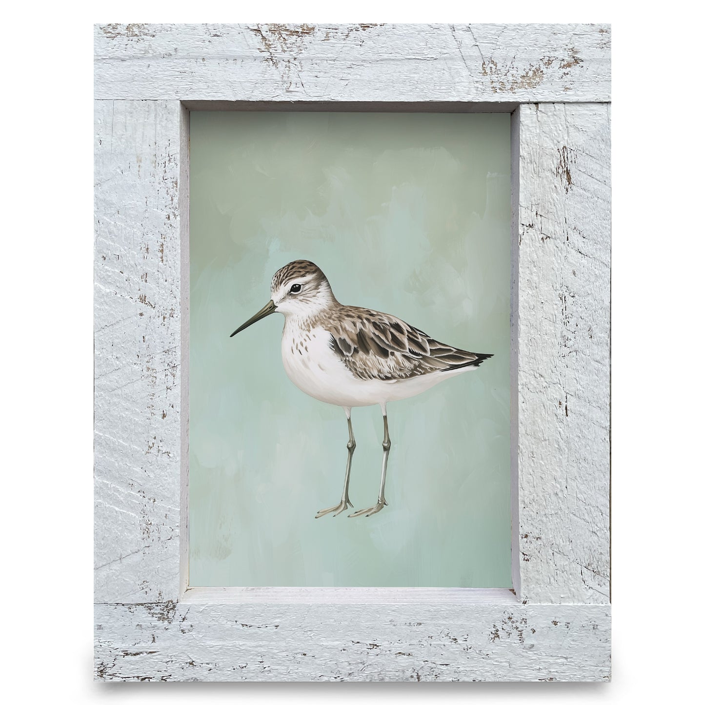 Green Sandpiper | Real Wood Framed Wall Art Print