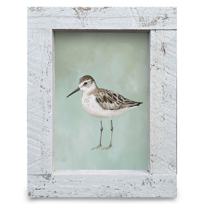 Green Sandpiper | Real Wood Framed Wall Art Print